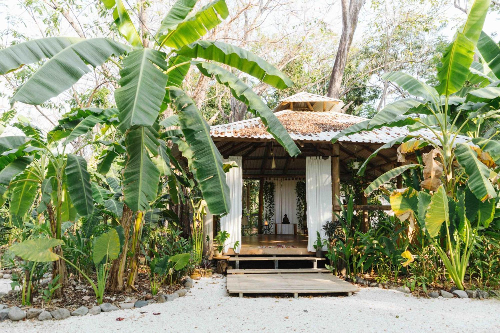 Zeneidas Surf Garden Playa Santa Teresa  Exteriér fotografie