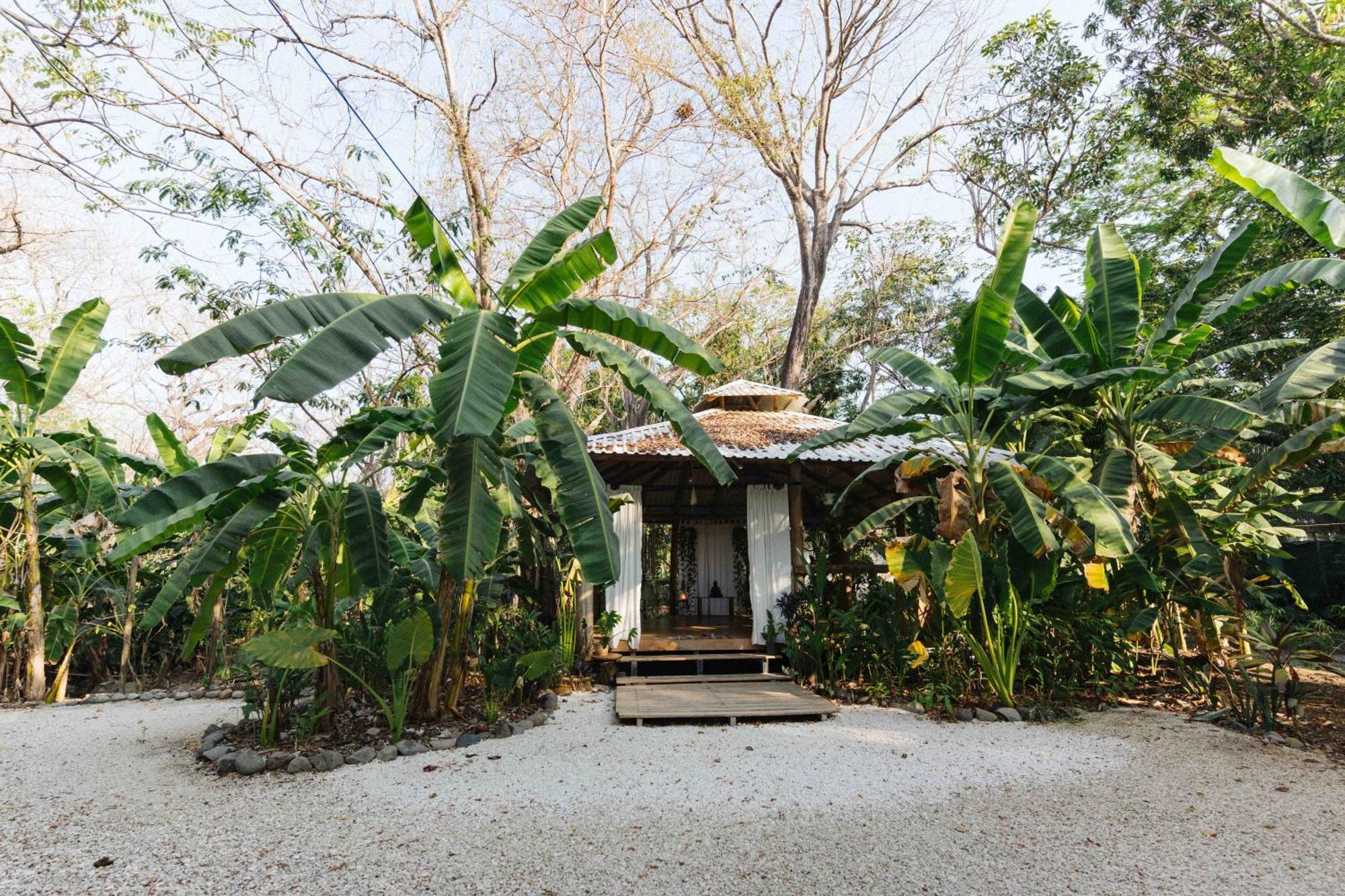 Zeneidas Surf Garden Playa Santa Teresa  Exteriér fotografie